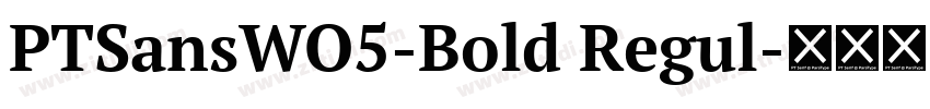 PTSansWO5-Bold Regul字体转换
